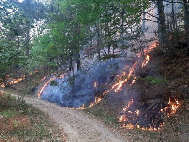 Rasplamsao se požar na Majevici