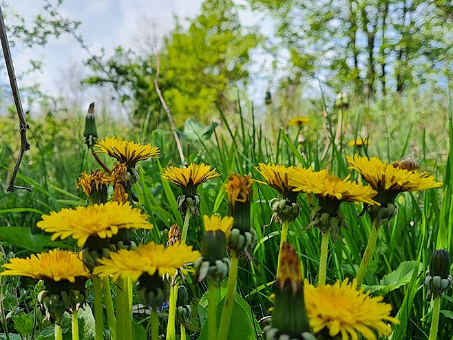 Danas sunčano uz umjerenu oblačnost