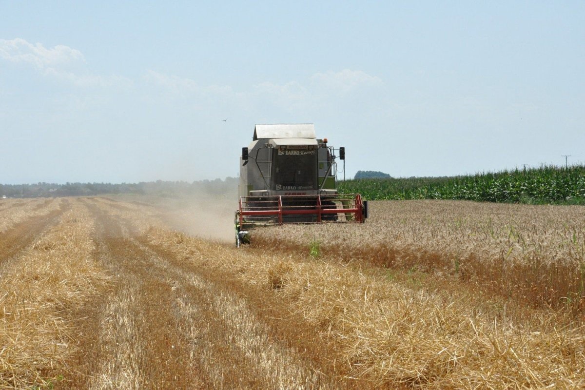 Kad je na redu popis poljoprivrede u BiH, posljednji bio davne 1960. godine