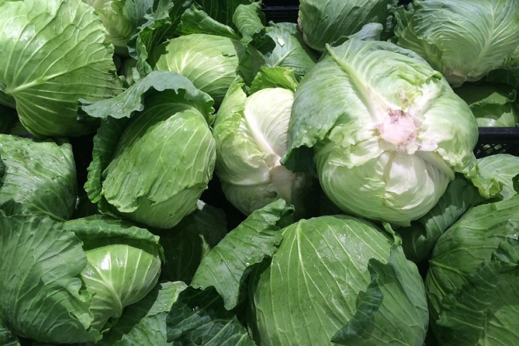 Obloge od kupusa pomažu kod mnogih problema