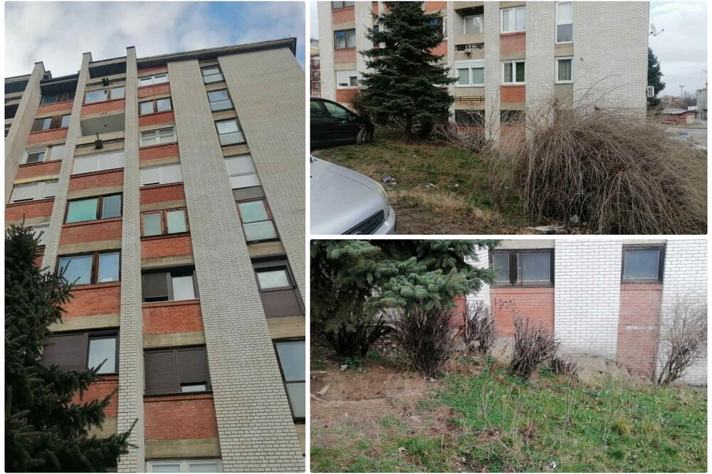 VIDJELA SAM KAKO OTAC I SIN PROLIJEĆU PORED MOG PROZORA! Ispovjest svjedoka dvostrukog samoubistva 