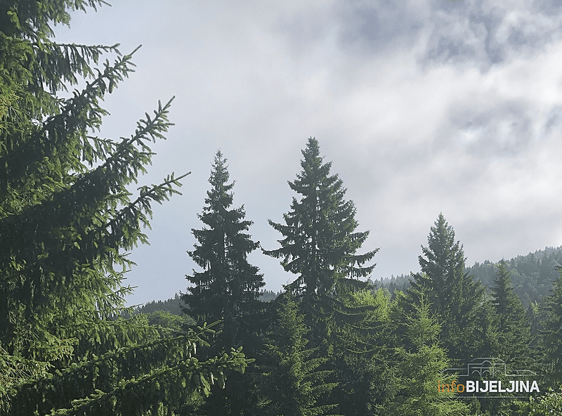 Topao početak februara,iznadprosječne temperature, na jugu do 16 stepeni