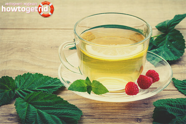 ČAJ OD LISTA MALINE za LAKŠI porođaj