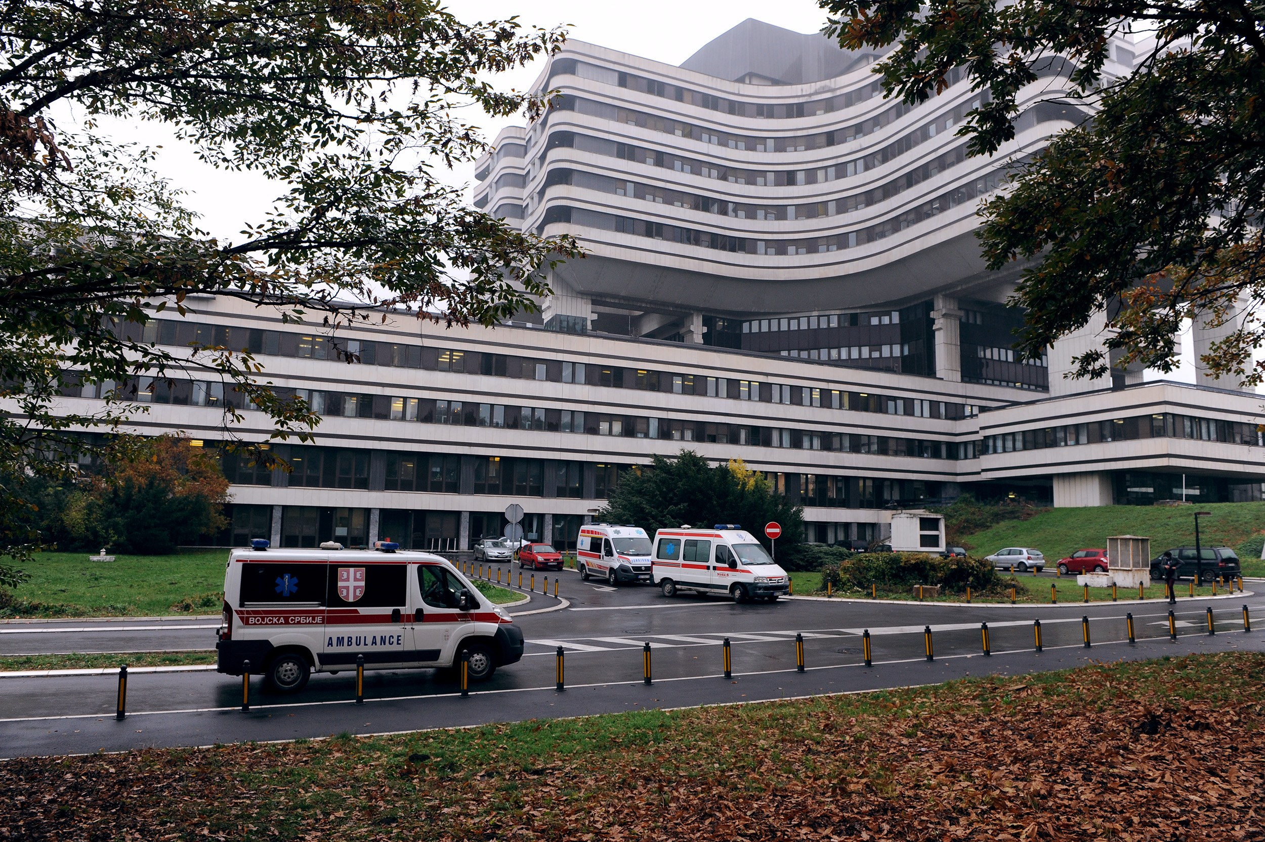 U teškom stanju osam pacijenata na VMA zbog trovanja gljivama