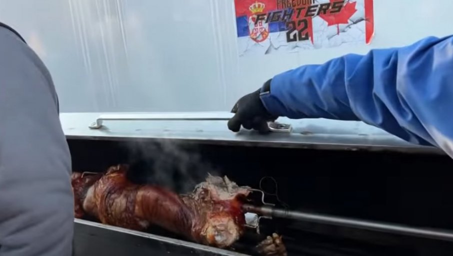 ISELJENICI IZ SRBIJE PEKU PRASE ISPRED PARLAMENTA KANADE(VIDEO)  Nevjerovatna scena sa velikog protesta kamiondžija o kome bruji svijet 