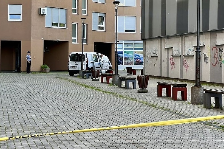Novi jezivi detalji iz Tuzle: Ženu i djecu ubio sjekirom?!