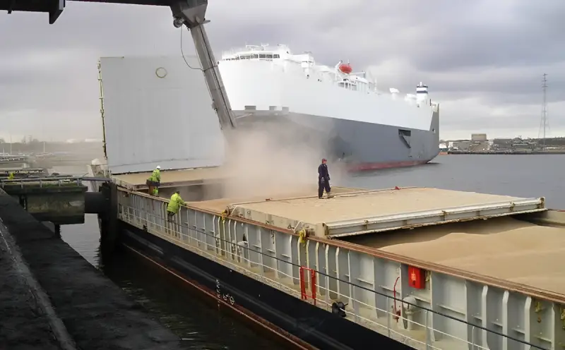 Kina mijenja američko i australijsko žito u korist ruske pšenice