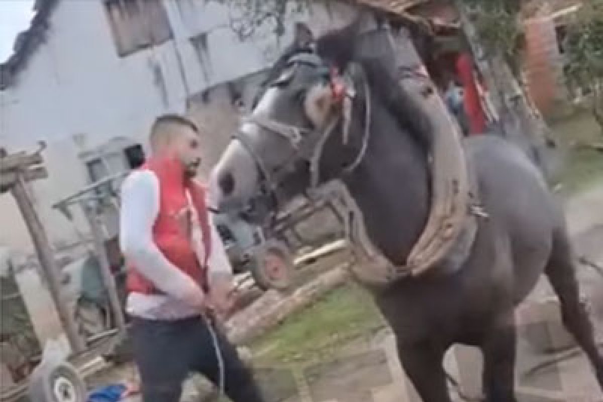 Uznemirujući video iz Prijedora: Brutalno tukli konja, oglasila se policija (VIDEO)