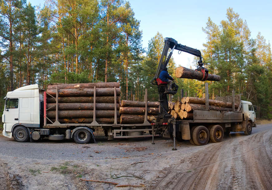 ŠTA ČEKA TUŽILAŠTVO Šuma pokradena, optužnice nema, a milionska istraga mjesecima tapka u mjestu