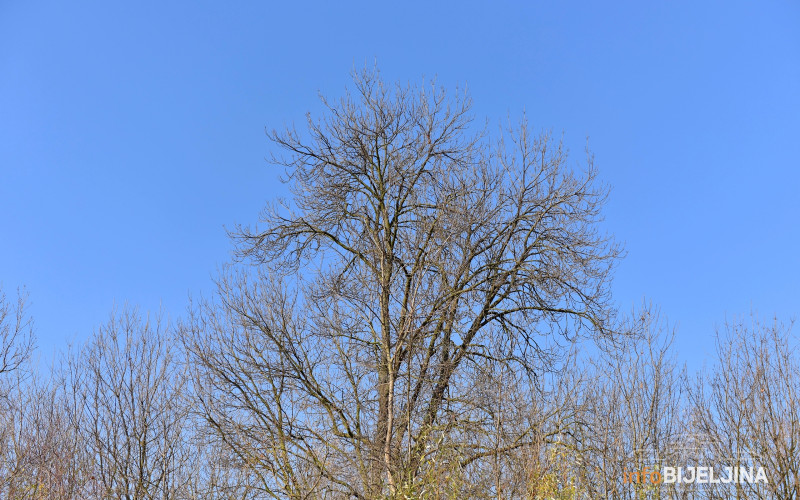 UGLAVNOM SUVO VRIJEME Sutra promjenljivo oblačno sa sunčanim periodima
