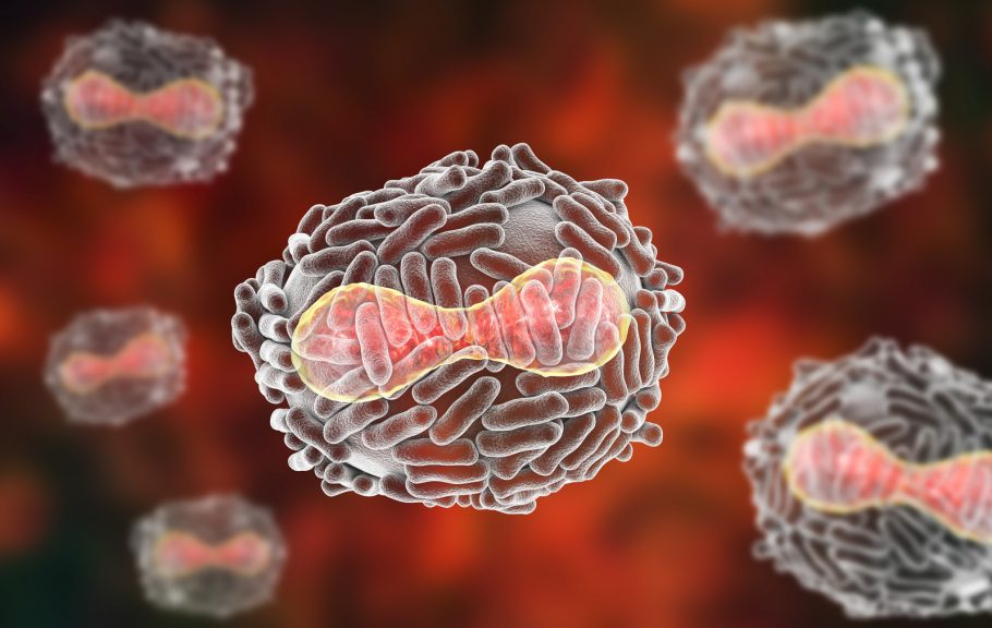 Evo koji su siptomi majmunskih boginja