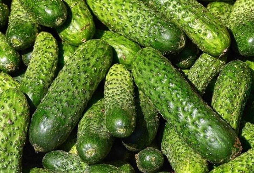 IDEALAN NAPITAK ZA DOBRO ZDRAVLJE Ako redovno pijete sok od krastavaca, ojačaćete imunitet i smršati