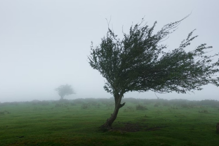 Žuto upozorenje zbog jakih udara vjetra u BiH