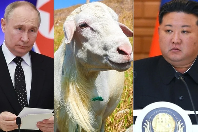 Iz Rusije s ljubavlju: Moskva šalje pomoć Sjevernoj Koreji, dobiće 447 koza