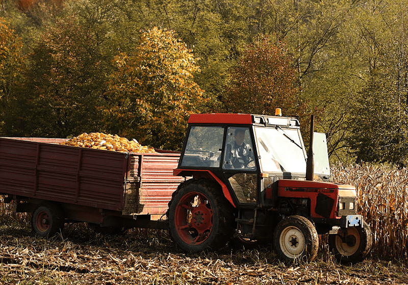 PORASLA VRIJEDNOST Otkupljeno i prodato 136,9 miliona KM poljoprivrednih i šumarskih proizvoda