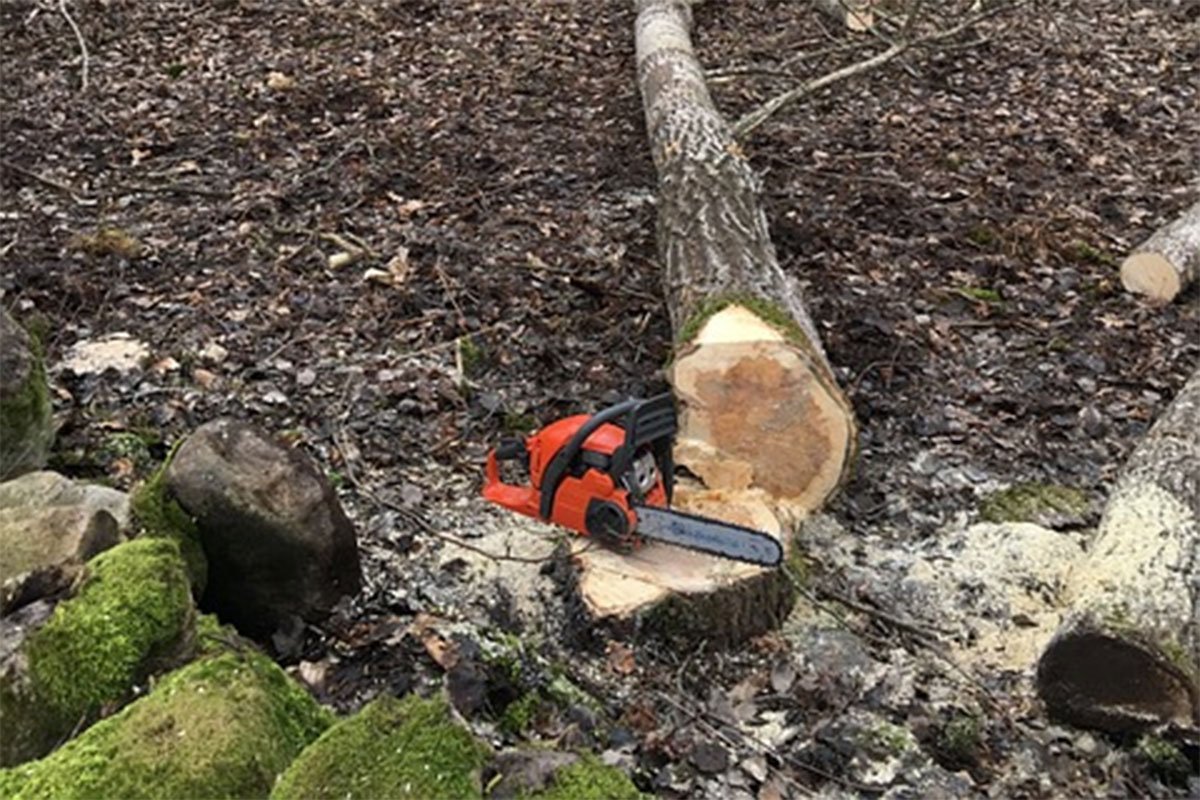 Radnika iz BiH usmrtio trupac