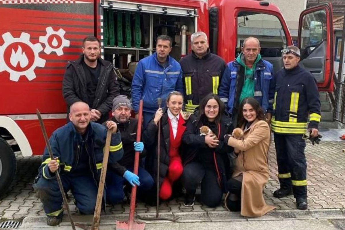 Vatrogasci spasili mačiće koji su upali u šaht