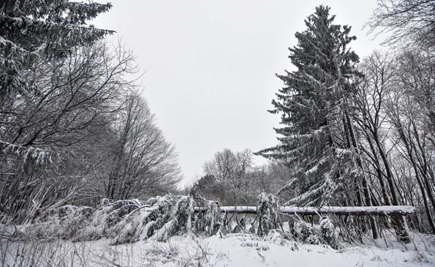 HLADNOĆA OBARA REKORDE U Sankt Peterburgu izmjerena temperature od -21 stepen Celzijusovih