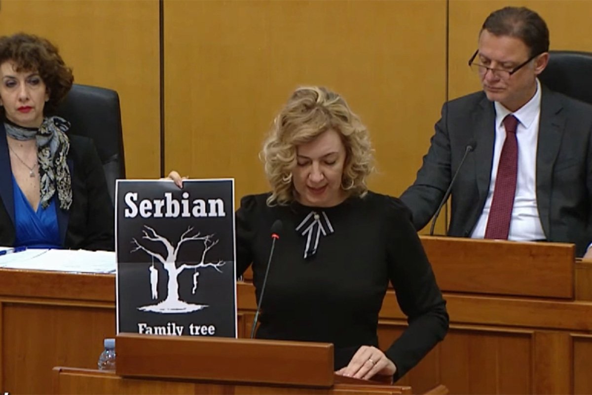 Poslanica u Hrvatskom saboru pocijepala sliku 