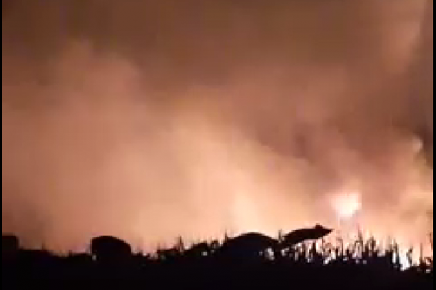 Vanredna konferencija zbog pada aviona u Kavali