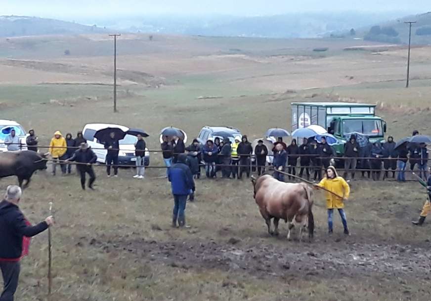 Kočićev zbor snima televizija iz Minhena: Evo ko je medijski sponzor najvećeg narodnog sabora u Srpskoj (FOTO)