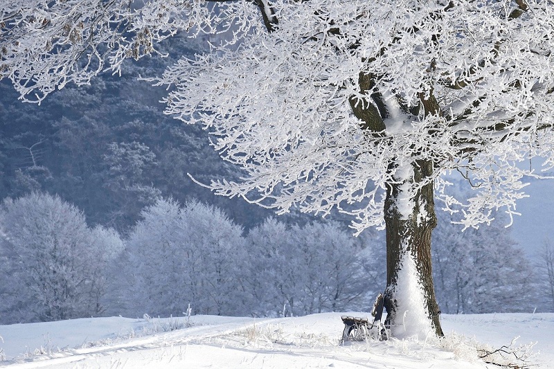 Meteorolog otkrio kada dolazi “prava zima”