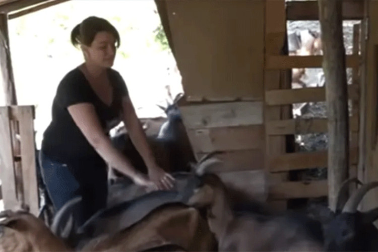 Napustila posao i otišla na selo da uzgaja koze