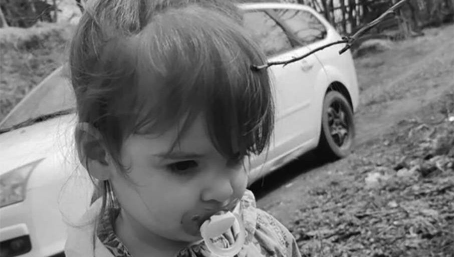 Mediji: Danka je bila živa kada su je udarili?