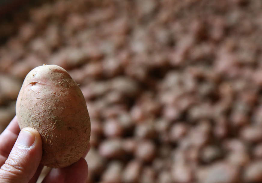 DEVETA NEISPRAVNA POŠILJKA Zabranjen uvoz u Srpsku 22 tone merkantilnog krompira iz Njemačke