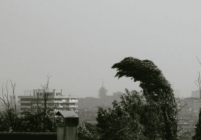 Jak vjetar u Banjaluci, Foči, Treninju i Višegradu