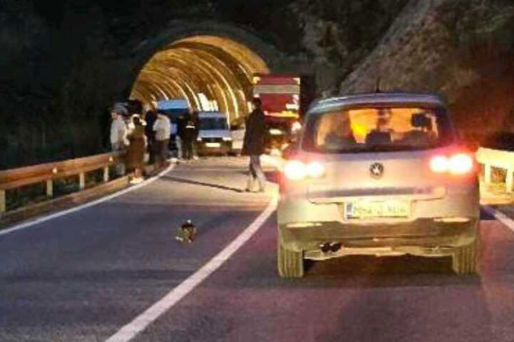 Vozač 
