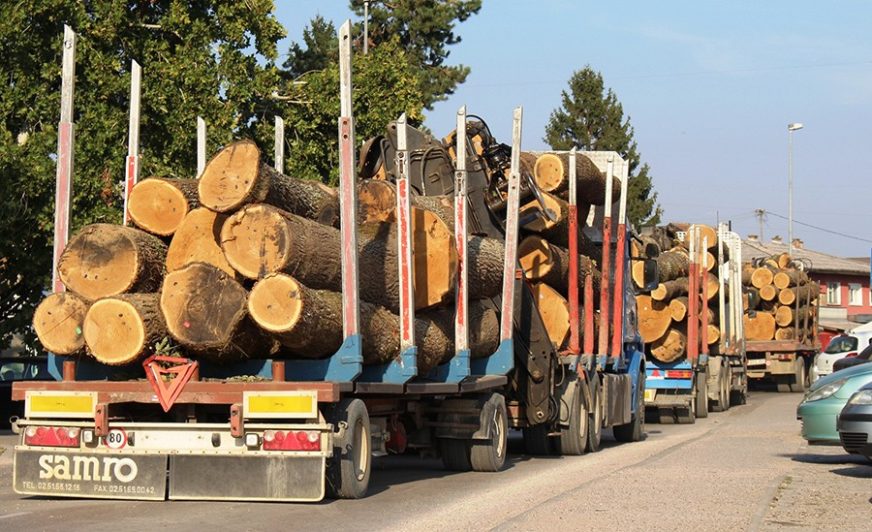 Drvna industrija BiH: Za šest mjeseci suficit 725,7 miliona KM