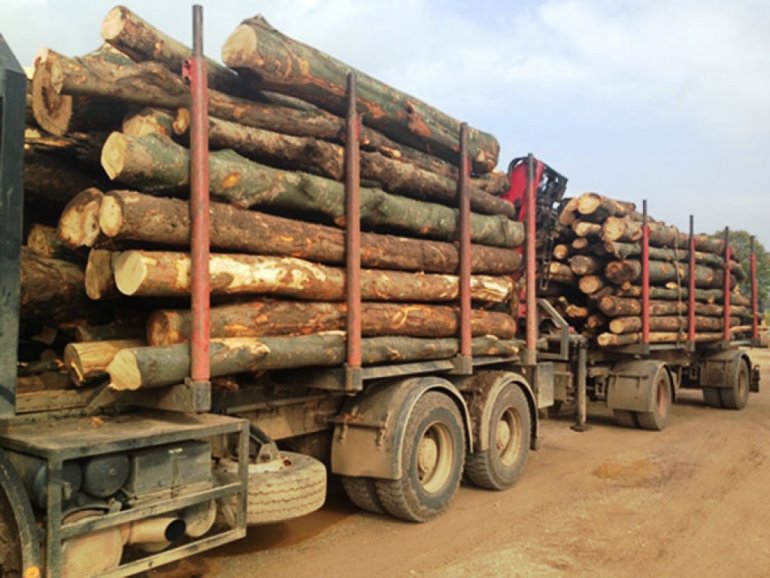 NE PITAJU ZA CIJENU! Kinezi kupuju sirovinu iz BiH