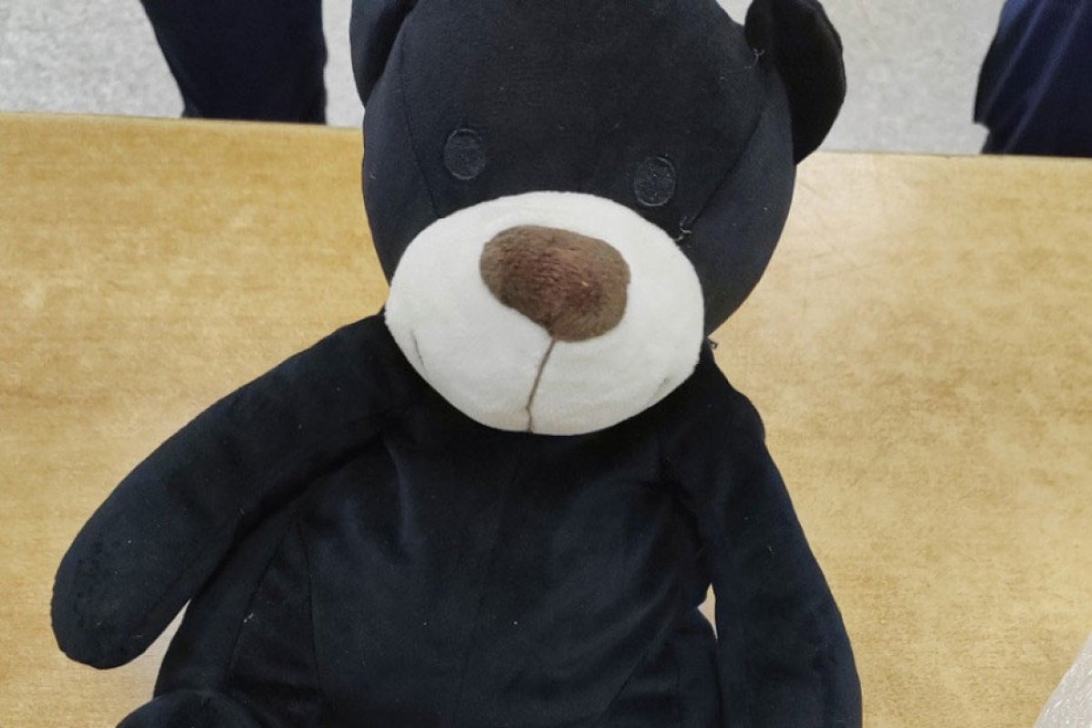 Srpski carinici u plišanom medi našli kilogram droge (FOTO)