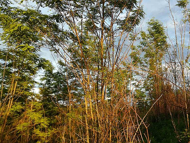 Sunčano i toplo za ovo doba godine