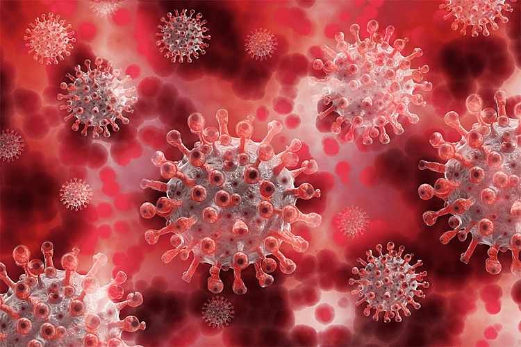 Naučnica tvrdi: U Kini ima još opasnih virusa koji su prijetnja ljudima