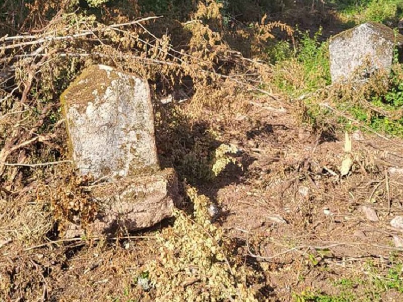 Oskrnavljeni stećci u Nacionalnom parku Sutjeska (FOTO)