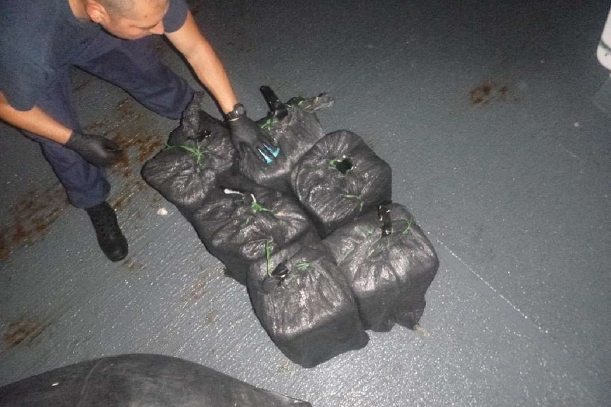 Carinici pronašli 635 kilograma kokaina među bananama