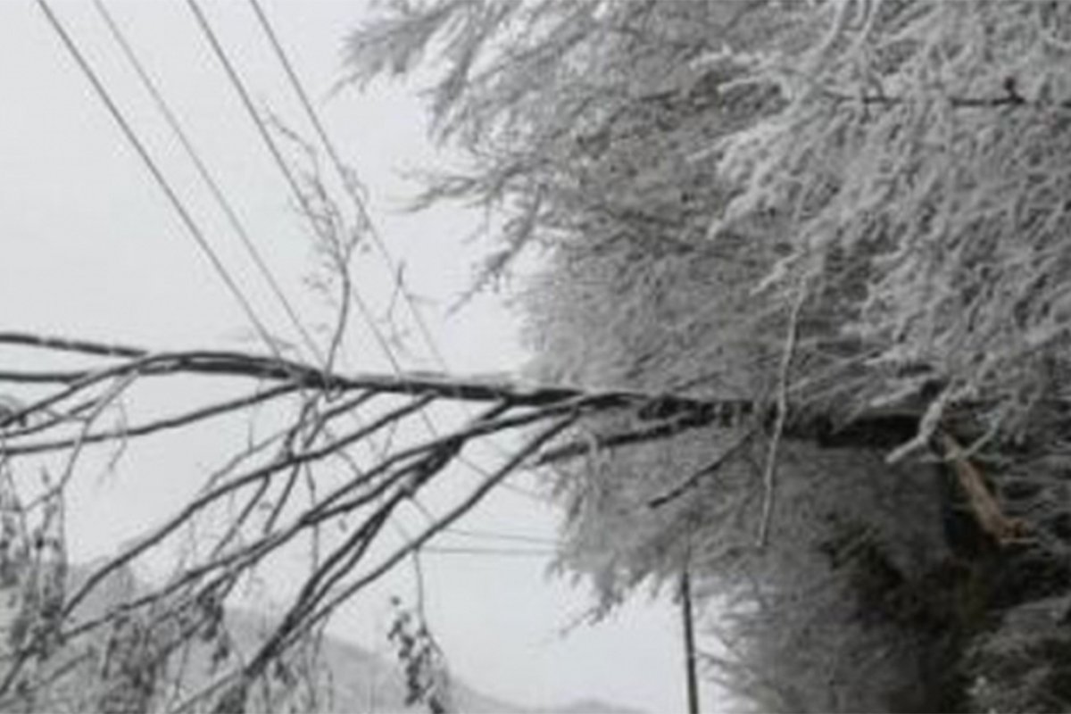 Novi snijeg na Žabljaku