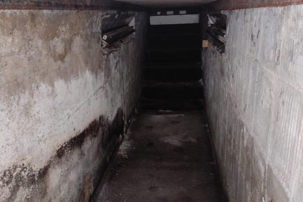 Istorijska pljenidba oružja u Crnoj Gori