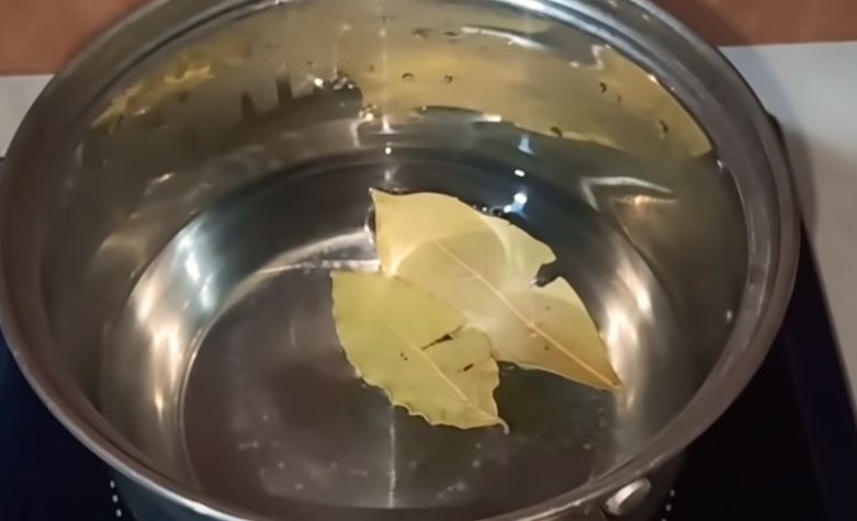 Tjera viruse i mikrobe: Ljekovita svojstva lovora