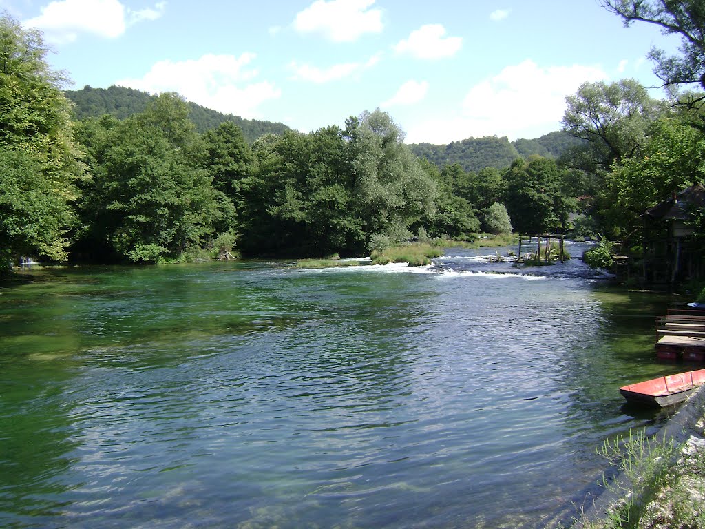 Utopio se mladić na Uni