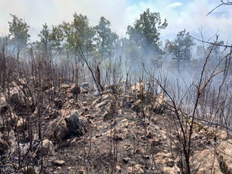 Teško stanje u Bileći, vatrogasci noć proveli na požarištu