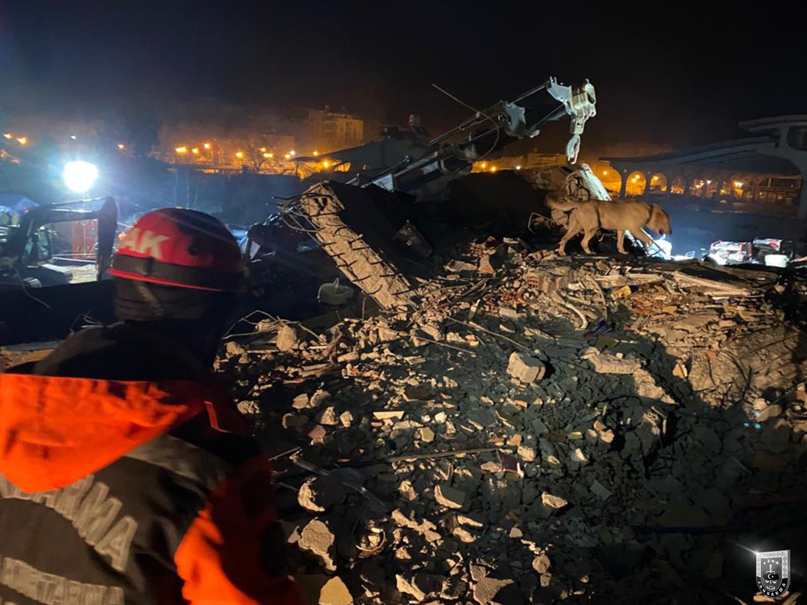 Broj poginulih u Turskoj i Siriji prešao 33.000; Novi jak potres; Nestvaran snimak; Pas Proteus prva žrtva među spasiocima