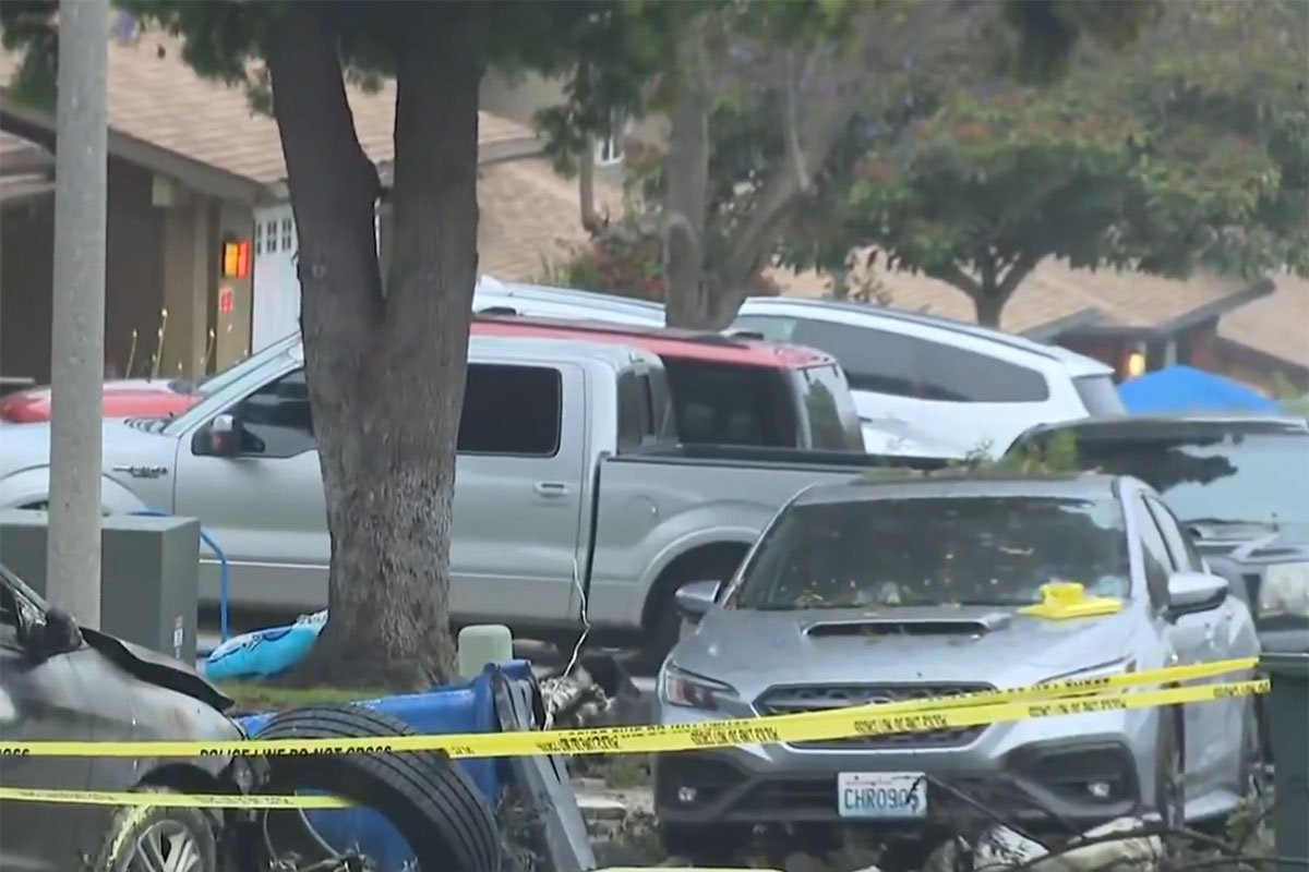 Detalji tragedije u Americi: Otkriveno ko je vlasnik aviona koji je pao na kuće