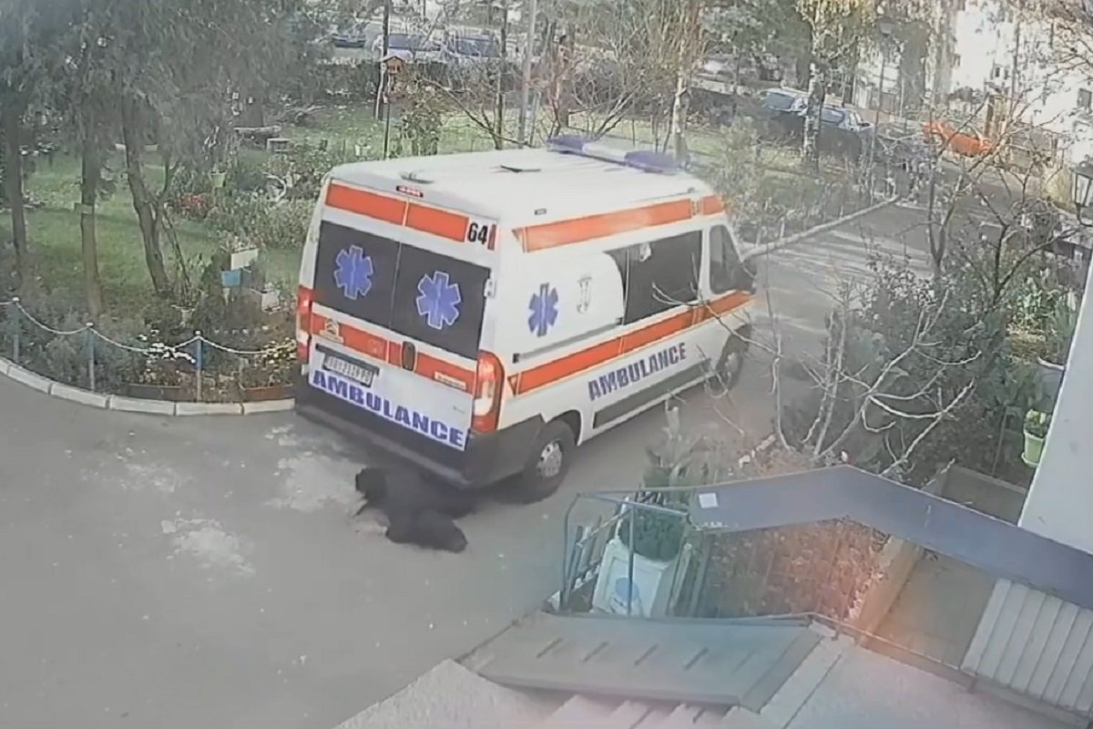 Vozilo Hitne pomoći udarilo ženu (UZNEMIRUJUĆI VIDEO)