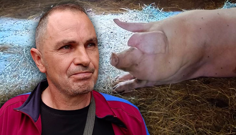 OVO JE MUŠKARAC KOJEG JE NAPALA SVINJA Ujela ga za genitalije, doktori morali da mu odstrane testis