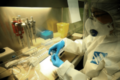 Direktor SZO za Evropu: Epidemija će biti okončana početkom 2022.