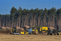 Zmije zaustavile gradnju "Tesline" fabrike kod Berlina