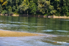 Čeka nas VREO DAN: Sutra u BiH veoma vruće i sparno, temperatura do 41 stepen